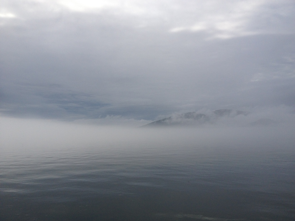 Fog in the Salish Sea